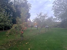 Orchard view