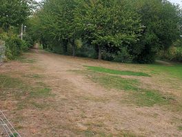 The lake walk