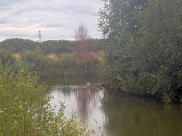 Fishing lake