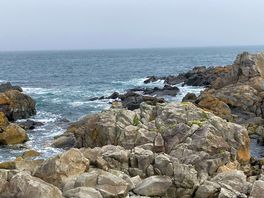 Coastal path