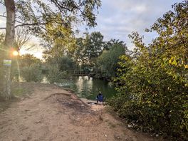 Lovely pond for fishing