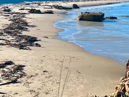 Beautiful beach