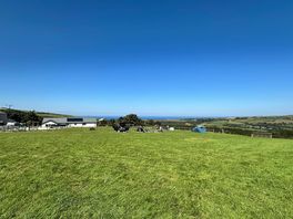 Site view