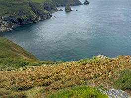 Coast path
