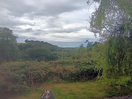 Views of tranquility