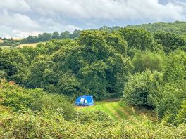 Pitches surrounding by woodland