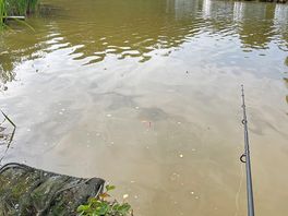 Nice pool but very easy to catch fish