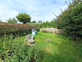 Spacious garden