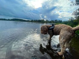 Loch view