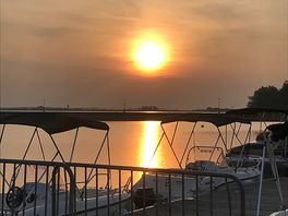 Marina and local bars/restaurants.
