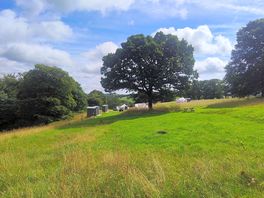 View from the field