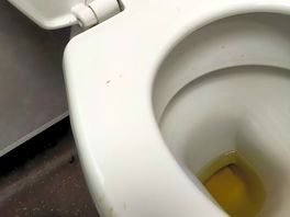 Poo on seat and at times wee.