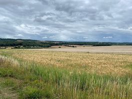Walk nearby