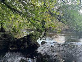 Another pic of the river alongside the site
