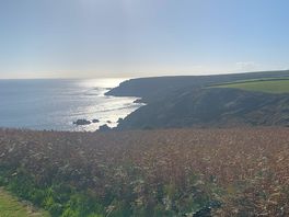 Coastal walk