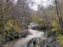 From the bridge near the old lead mine. 5 mins walk from campsite.