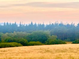 Fields behind huntick