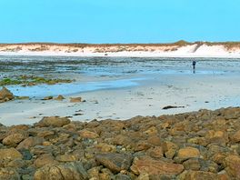 Het strand op loopafstand van de camping
