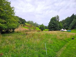 Looking towards the stream