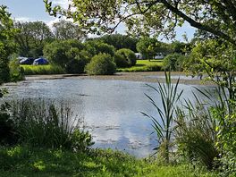 Beautiful surroundings