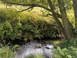 Small camping area walk