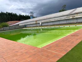 Piscine verte inutilisable, laissée à l’abandon, aucun entretien