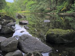 Scenery stream
