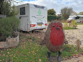 Wonderful wicker animals around the park