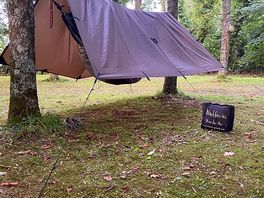 Great place for hammocks.