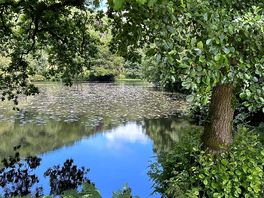 Peaceful
