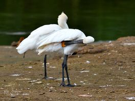 Taken at gibraltar point.