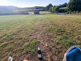 View from my tent
