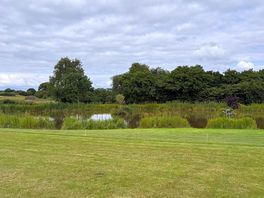 The view over the fishing lake.