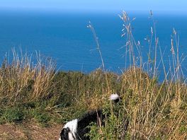 Fabulous views
