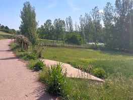 Looking towards campsite