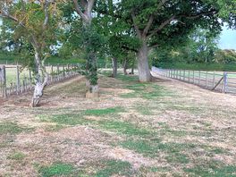 Enclosed dog park