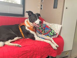 Chilling after dinner