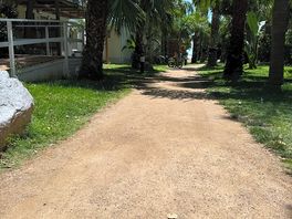 Camino