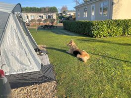 First time away with our dog. she loved it! really dog friendly with dog wash.