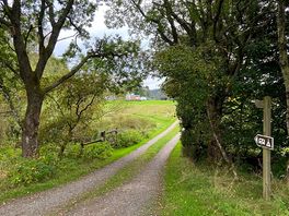 Site