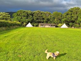 View of site from my tent ⛺️