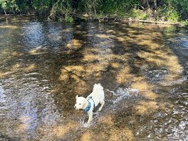 River walk into town