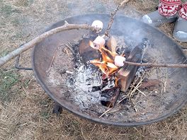 Marshmallows over the firepit