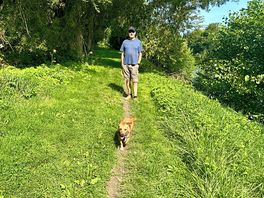 Dog walk