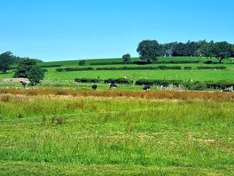 View from the dog walk area