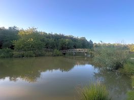 Lovely lake