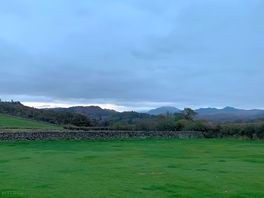 View in the morning