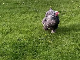 Even had a friendly visitor.