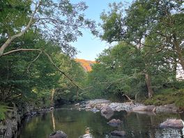 Swimming spot