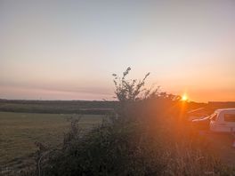 Gorgeous sunsets
